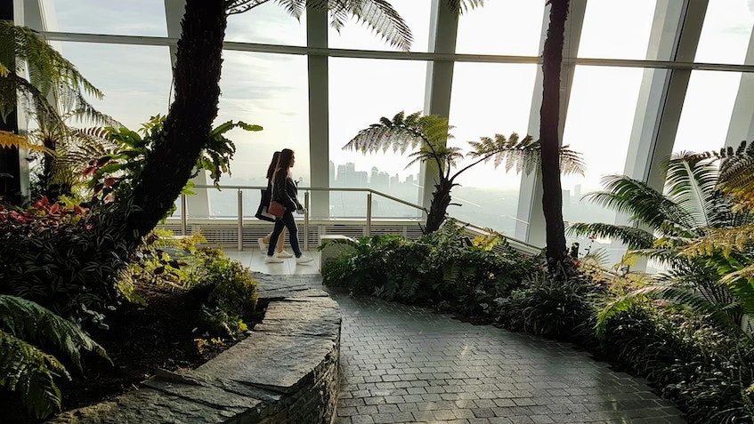 inspirasi taman di dalam rumah