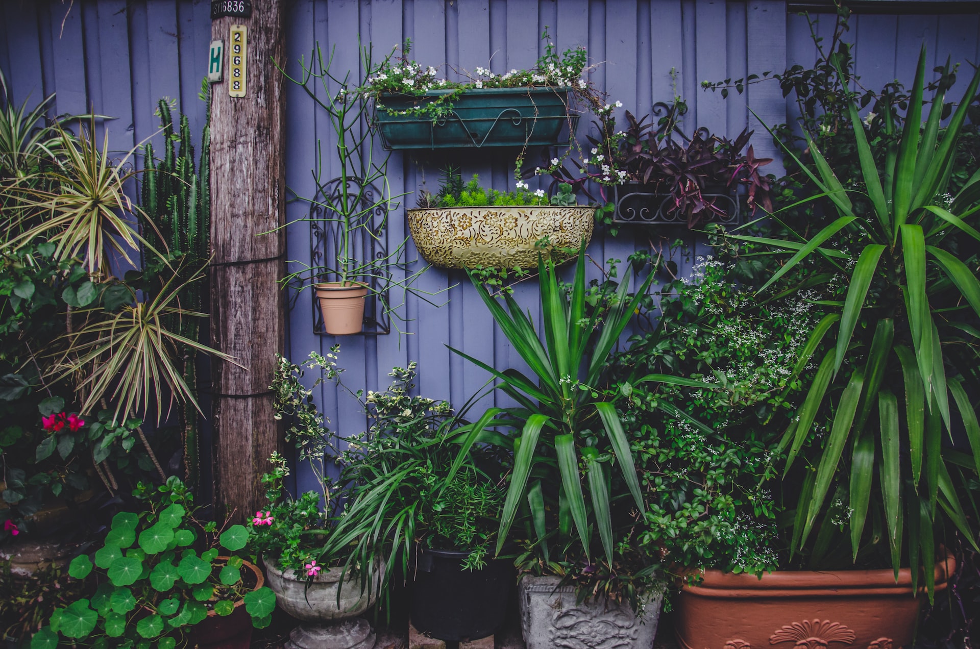 taman depan rumah minimalis lahan sempit
