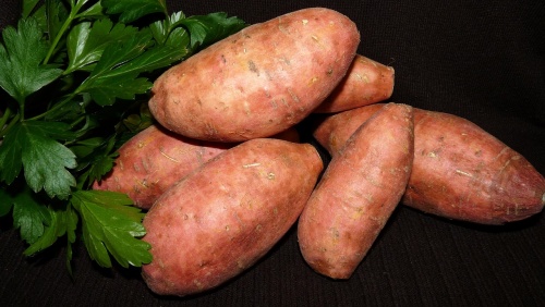 makanan tinggi karbohidrat