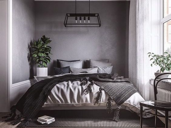 cat kamar aesthetic