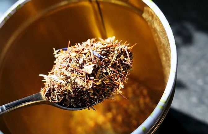 manfaat jamu pahitan untuk hati