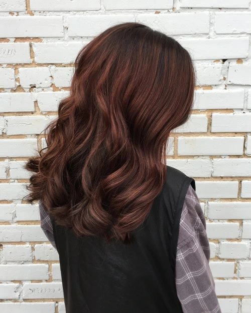 warna dark auburn