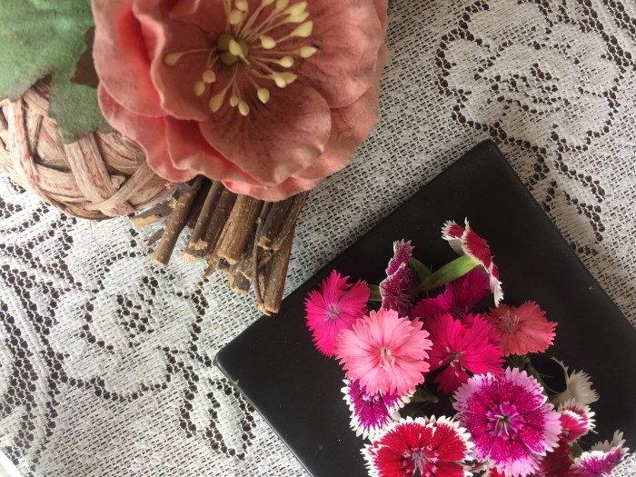 bunga Dianthus