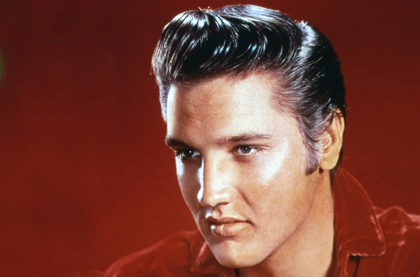 model rambut pompadour