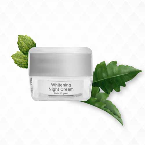 Aneka Produk Ms Glow Terbaru Lengkap Dengan Harganya - Ms Glow Whitening Night Cream
