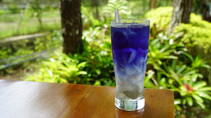resep minuman bunga telang