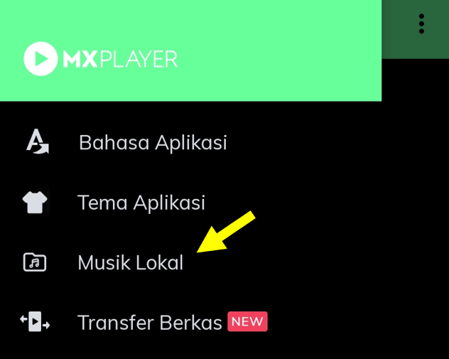 Opsi Media Lokal