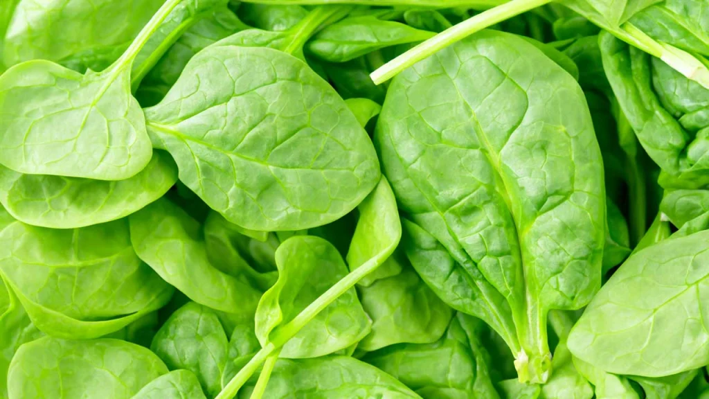 sayur bayam