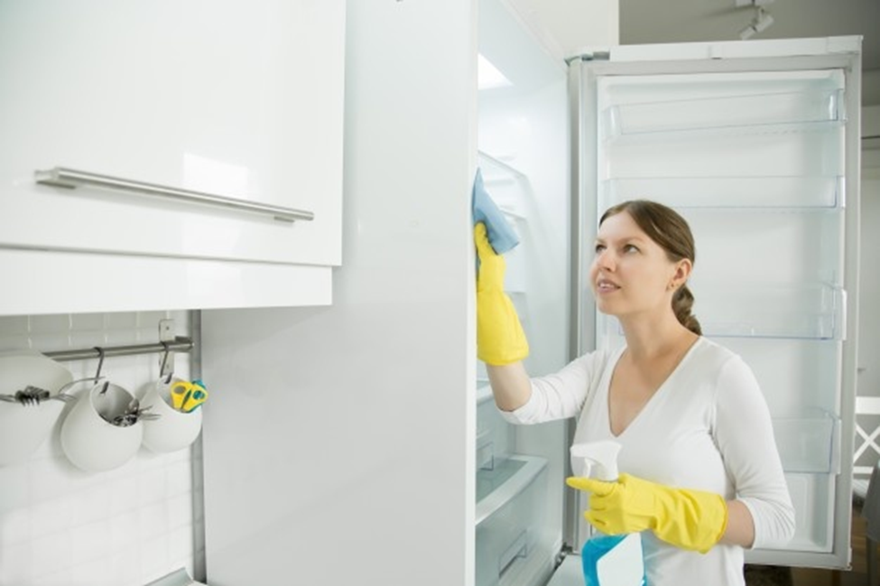 cara membersihkan freezer box