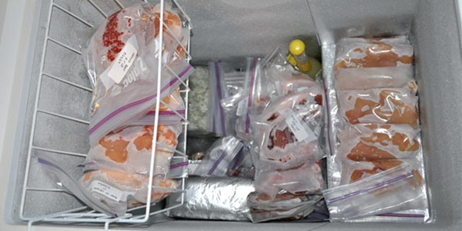 cara membersihkan freezer box