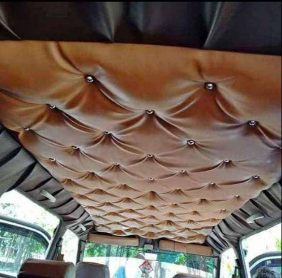 plafon mobil elegan