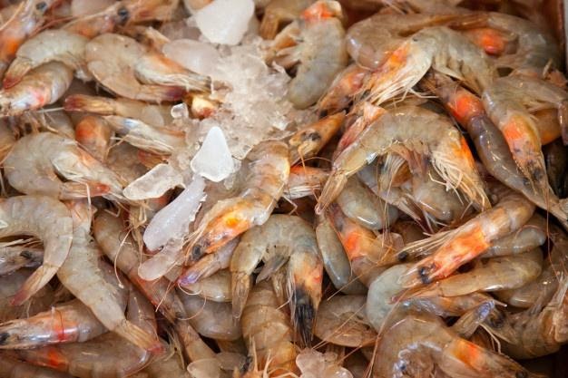 cara menyimpan udang di kulkas