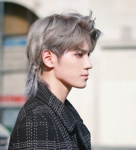 mullet cut 
