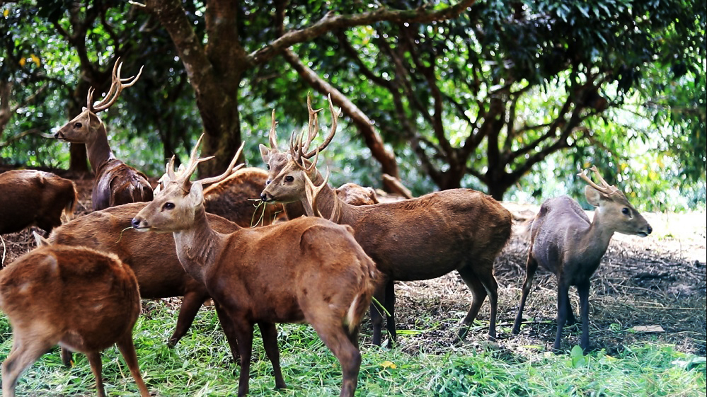 20 Tempat Wisata di Gresik yang Patut Dikunjungi