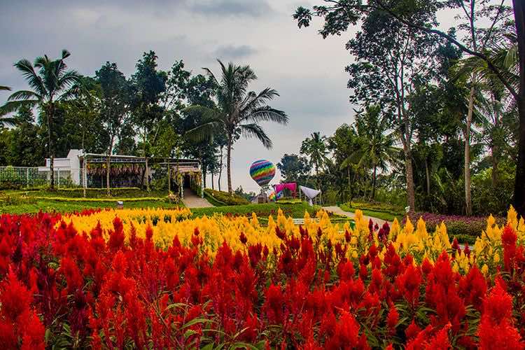 11 Taman di Jogja yang Cocok untuk Bersantai