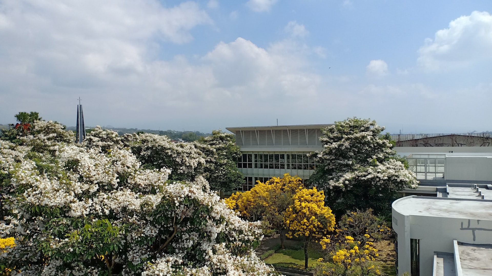 7 Daftar Universitas Terbaik di Ambon