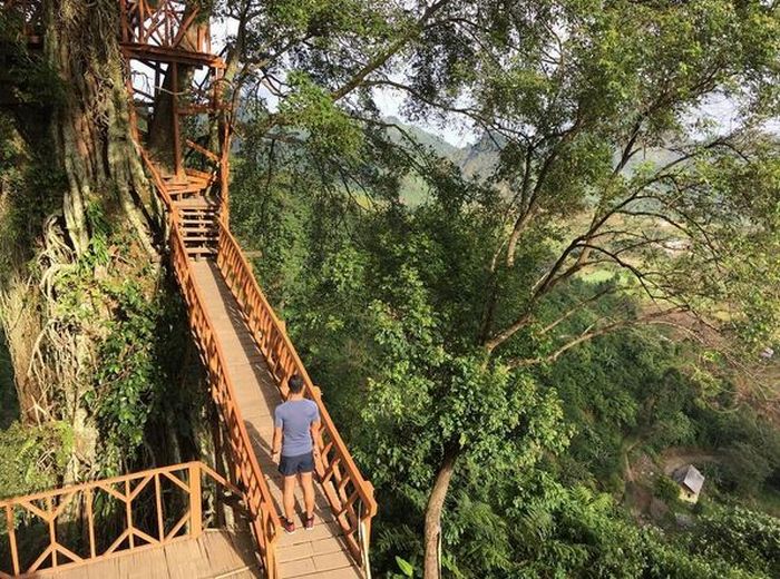 15+ Rekomendasi Tempat Wisata di Bogor Terbaru dan Hits