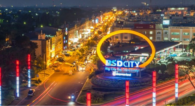 BSD Plasa