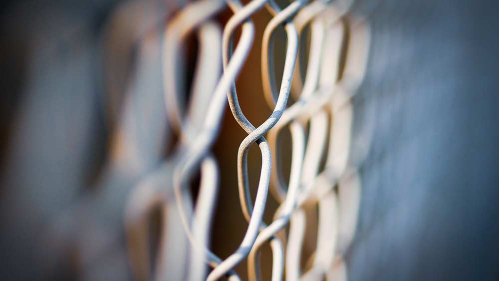 wire mesh adalah
