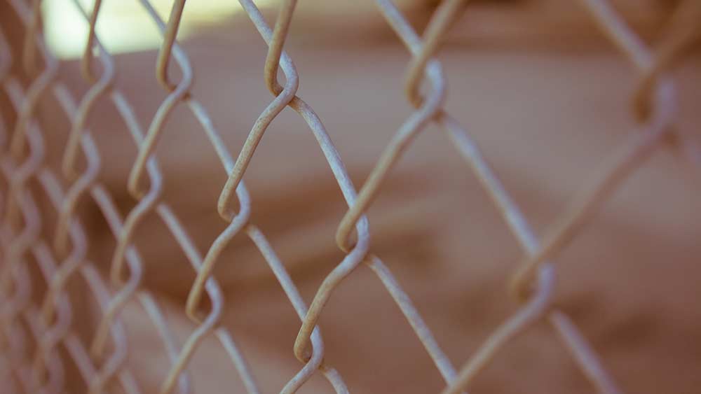 wire mesh adalah