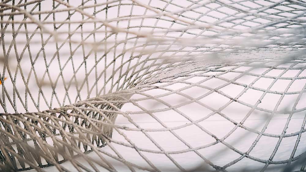 wire mesh adalah