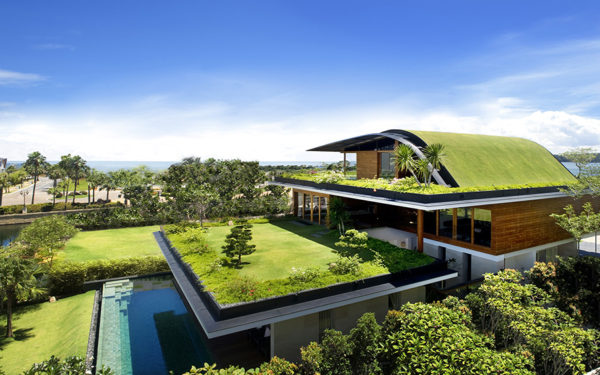 green roof