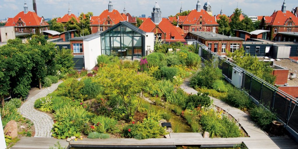 Intensive Green Roof