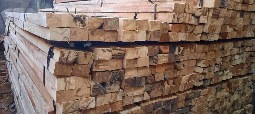 Kayu kaso