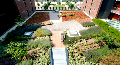 Semi-intensive green roof