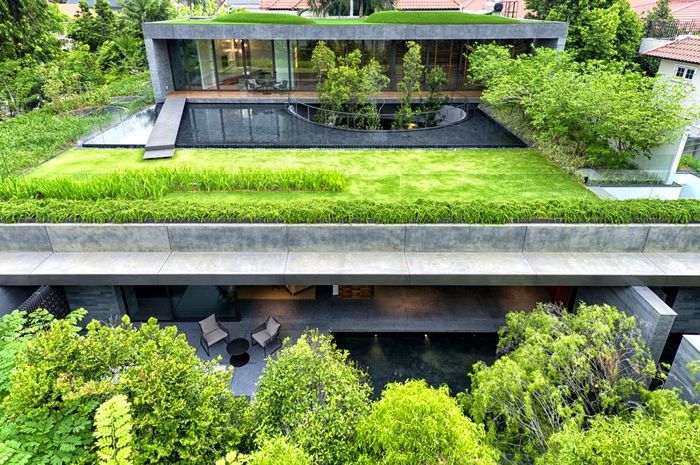 Green Roof
