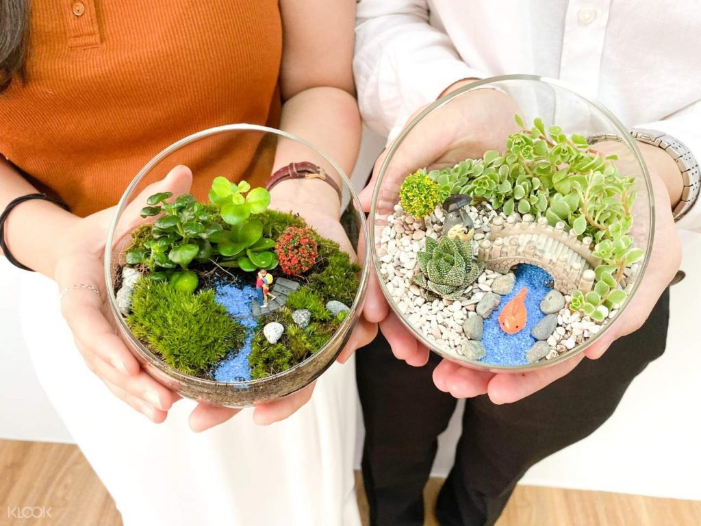 Terarium